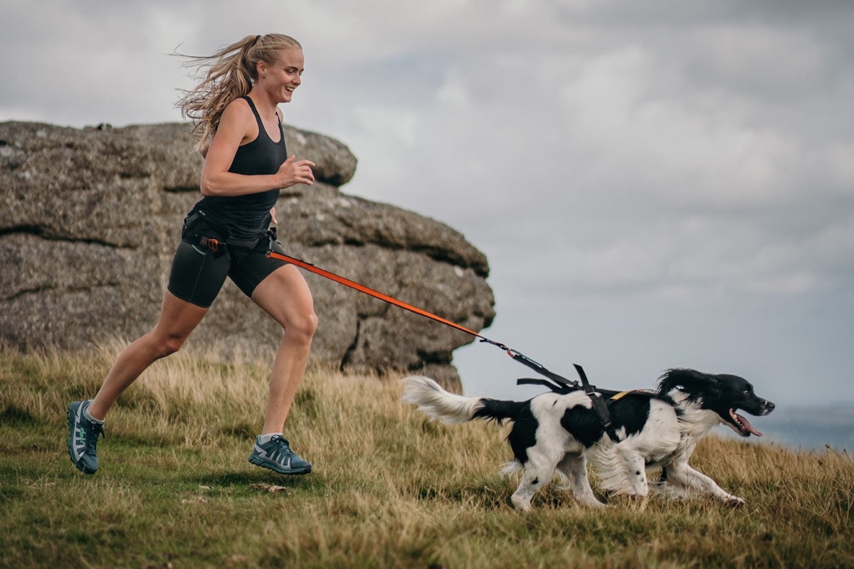 Une coureuse et son chien reliés par une ligne de traction en pleine nature