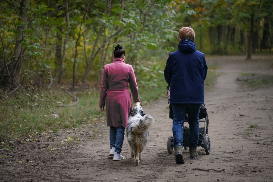 Une famille se promène sur un chemin forestier avec une poussette et un chien en laisse