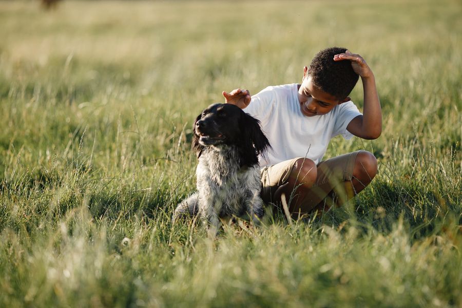 Un garçon assis dans l'herbe caresse doucement un chien noir et blanc détendu