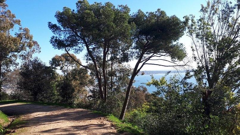 Parc du Paradou Vallauris — sentier vue mer pins Méditerranée