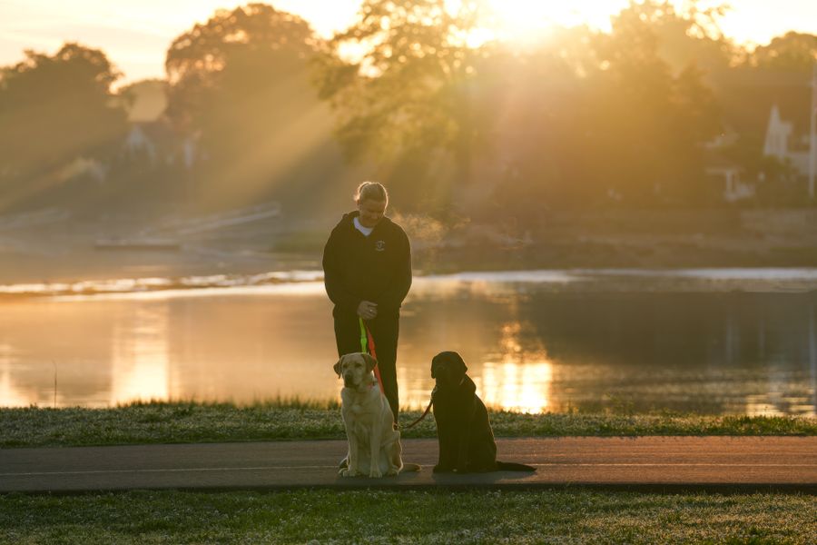 Une personne et ses deux Labradors au bord d'un lac au lever du soleil