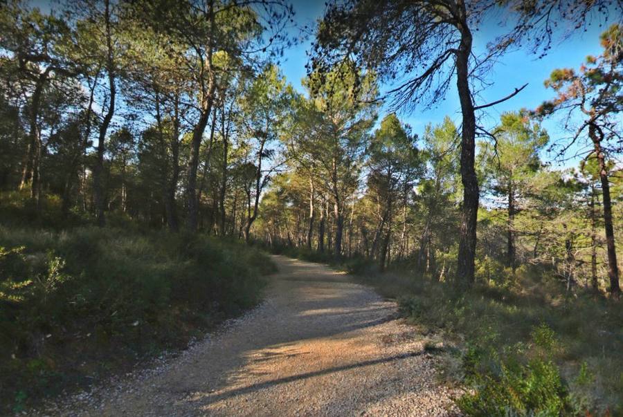Parcs chiens 06
